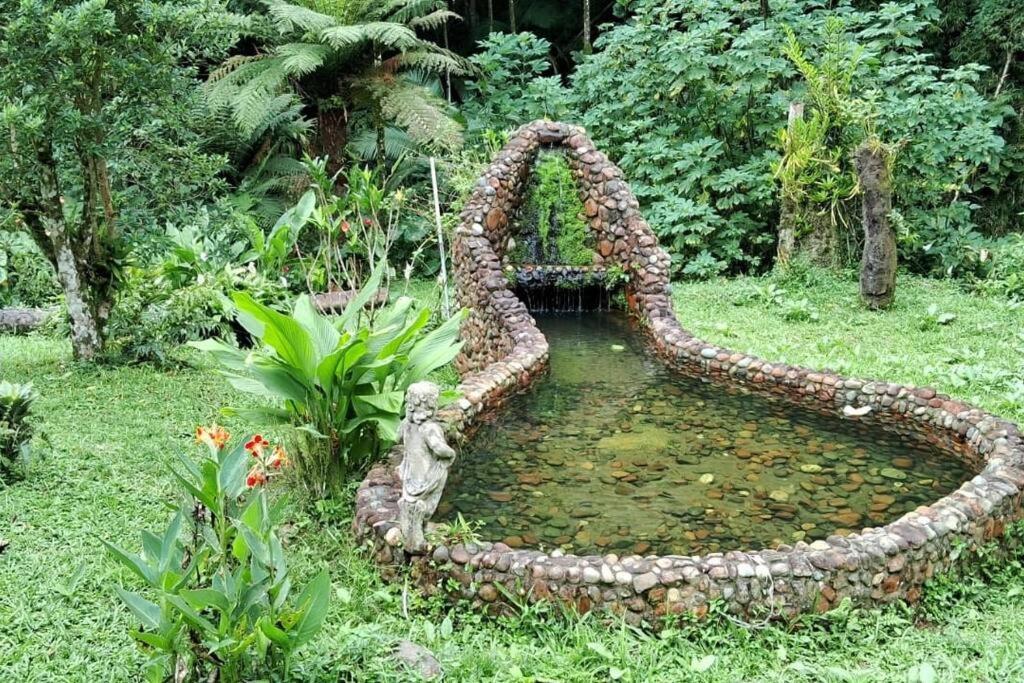 Sitio Som Das Aguas Benedito Novo エクステリア 写真