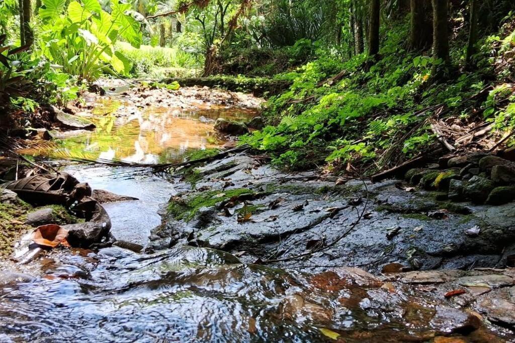 Sitio Som Das Aguas Benedito Novo エクステリア 写真