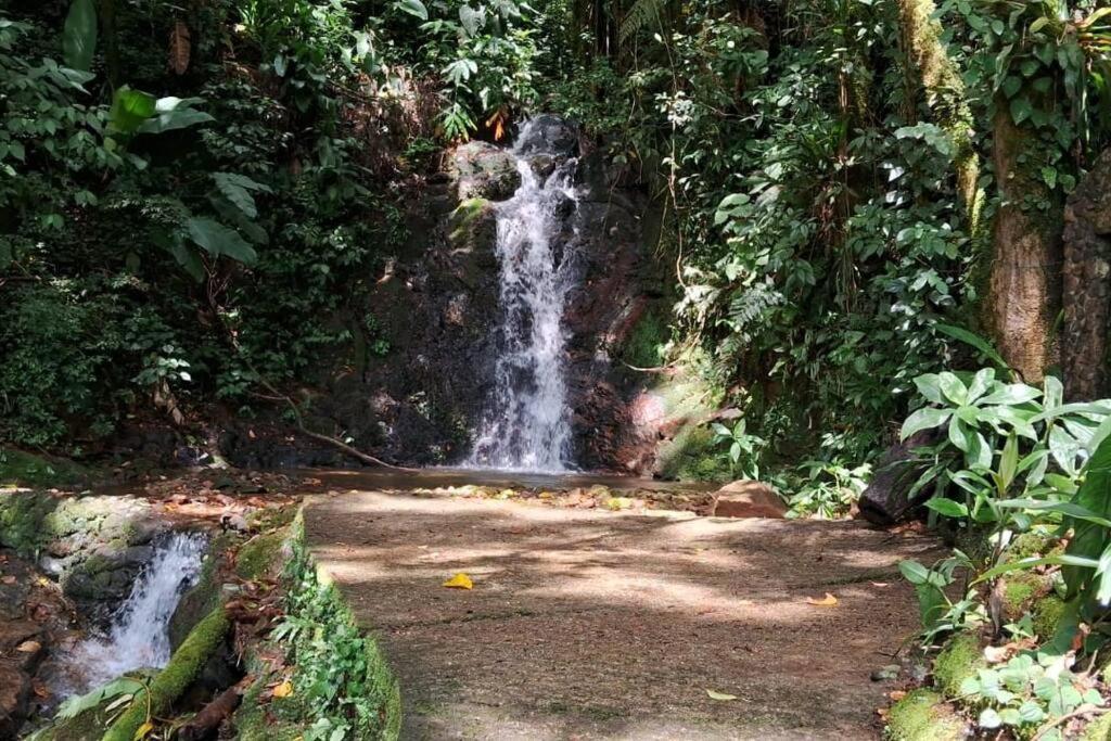 Sitio Som Das Aguas Benedito Novo エクステリア 写真