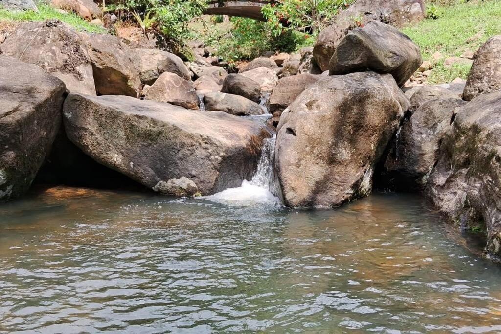 Sitio Som Das Aguas Benedito Novo エクステリア 写真