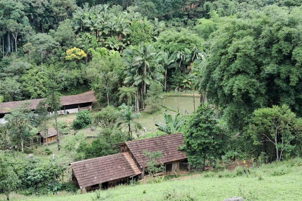 Sitio Som Das Aguas Benedito Novo エクステリア 写真