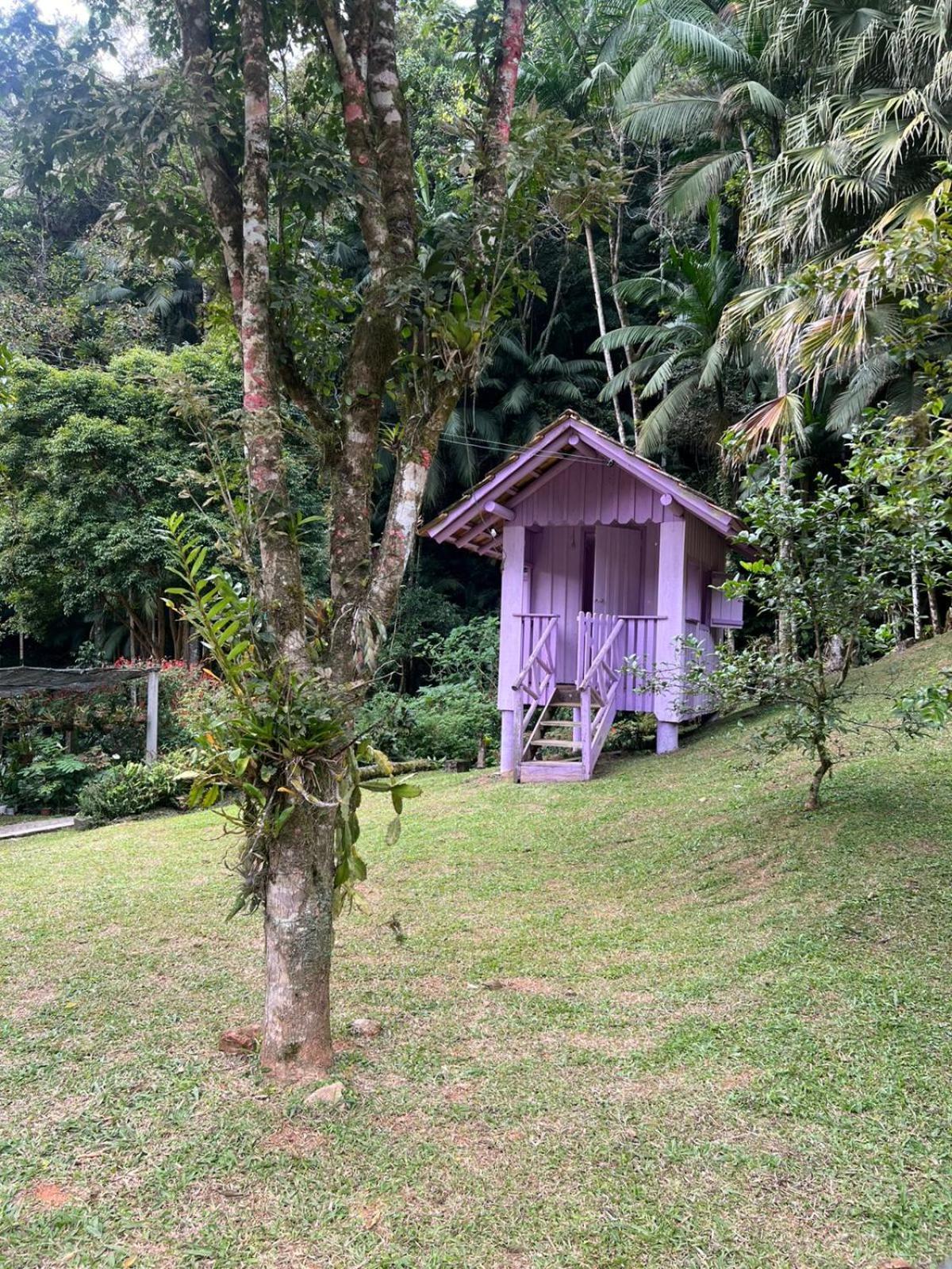 Sitio Som Das Aguas Benedito Novo エクステリア 写真