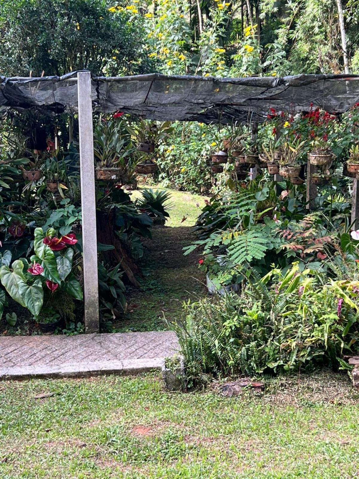 Sitio Som Das Aguas Benedito Novo エクステリア 写真